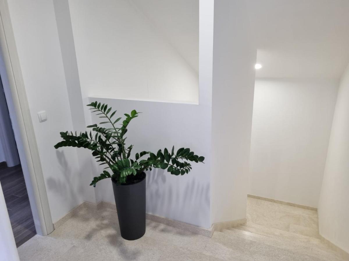 מאקרסקה Apartmani Tolj מראה חיצוני תמונה