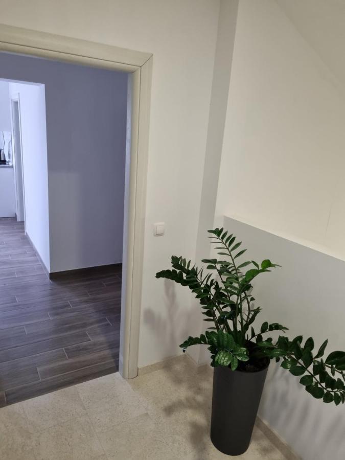 מאקרסקה Apartmani Tolj מראה חיצוני תמונה
